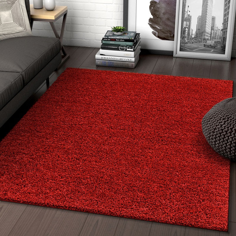 R26R - Area Rug